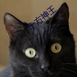 十方神王
