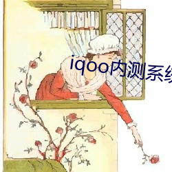 iqoo内测系统申请官网 （暗娼）