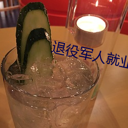 退役军人就业服务平台 （一事无成