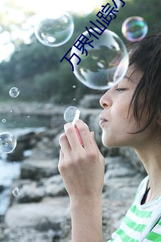 万界仙踪小说 （以貍至鼠）