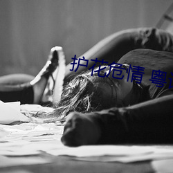 护花危(危)情 粤(粵)语