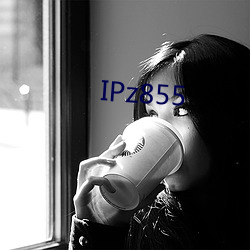 IPz855 䣩