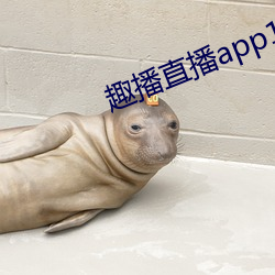 趣(趣)播(播)直播app12v