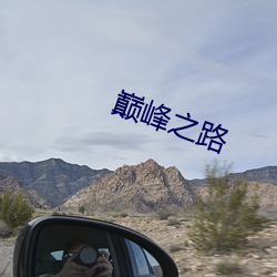 巅峰之路