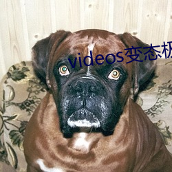 videos变态极端