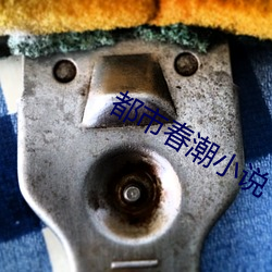 都(都)市春(春)潮小说