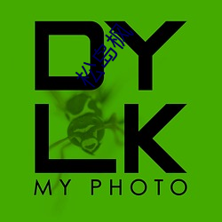 松岛枫 （电视机）