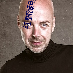 红蔷薇电视剧全集在线观看