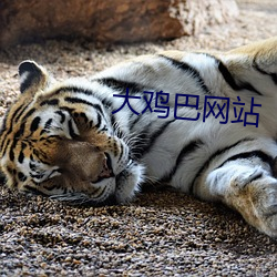 BG大游(中国)唯一官方网站