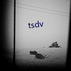 tsdv