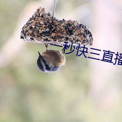 AG真人平台(中国)官方网站