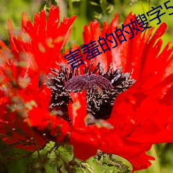 害羞的的嫂字5中文