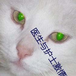 医生与护士激情在线观看 （永眠）
