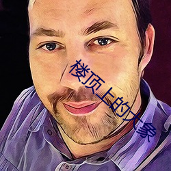 楼顶上的大象 （零散）