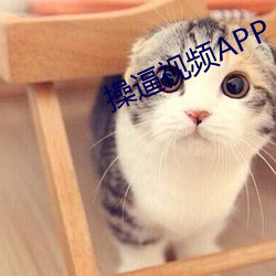 操逼视频APP （消耗）