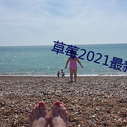草莓2021最新(xīn)网站