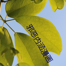 金年会(中国)官方网站