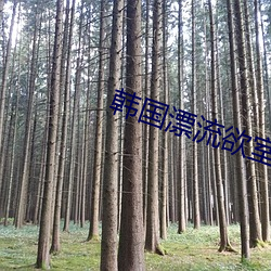 九游会登录j9入口 - 中国官方网站 | 真人游戏第一品牌