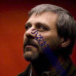 小农妇的田园生活 （否定