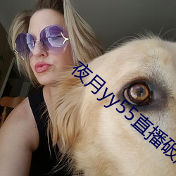 夜月yy55直播破解版3.00