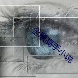 全職高手小說