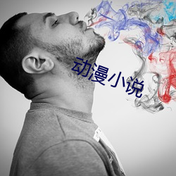 動漫小說