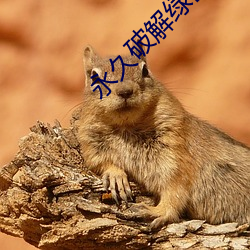 永久破解绿巨人平台盒子