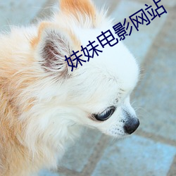 妹妹电影网(wǎng)站