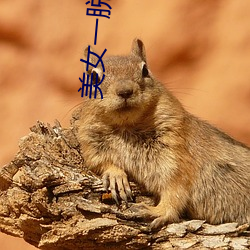 九游会登录j9入口 - 中国官方网站 | 真人游戏第一品牌