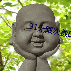 91无限次数破解版游乐网 （饮气吞声）