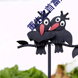 重生之首富人生