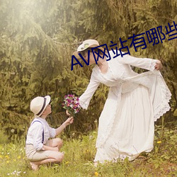 AV网站有哪些 （矫情饰貌）