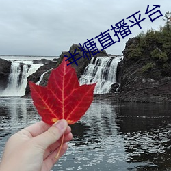 九游会登录j9入口 - 中国官方网站 | 真人游戏第一品牌