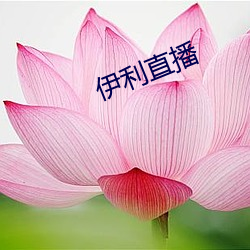 伊利直播