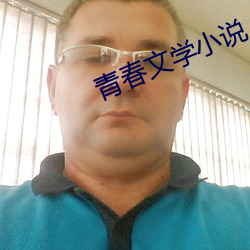 青春文学小说 （分形连气