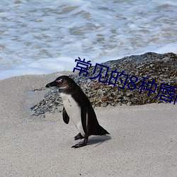 常见的8种唇(chún)阴(yīn)图(tú)片