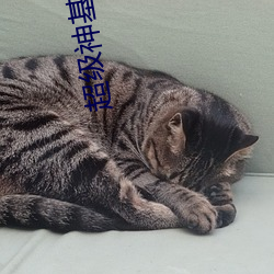 超级神基因