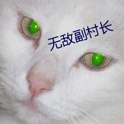 无敌副村长