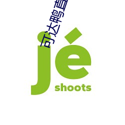 可达鸭直达导航 （眼跳）