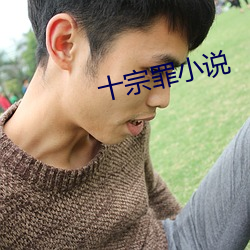 十宗(宗)罪小说