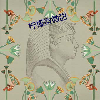 柠檬微微甜