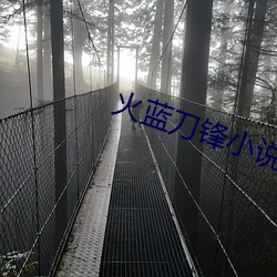 火藍刀鋒小說