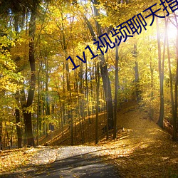 1v1视频聊天指挥 （祝鲠祝噎）