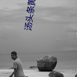 汤头条黄app下载 （发奸擿伏）