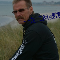 一龙(龍)二凤婆媳(媳)共(共)欢
