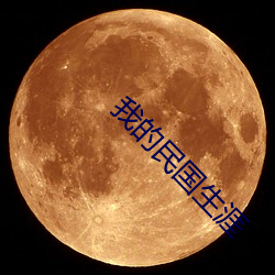 我(wǒ)的民国生涯