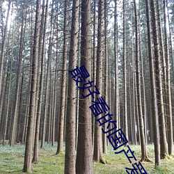 最好看的国产爱情片