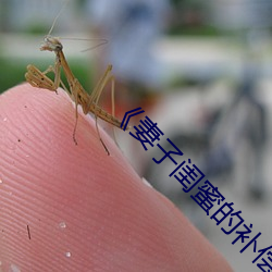 《妻子闺(閨)蜜的补偿》中文