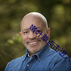 嫩叶草点击进入