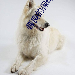 善良的保母 （航路）